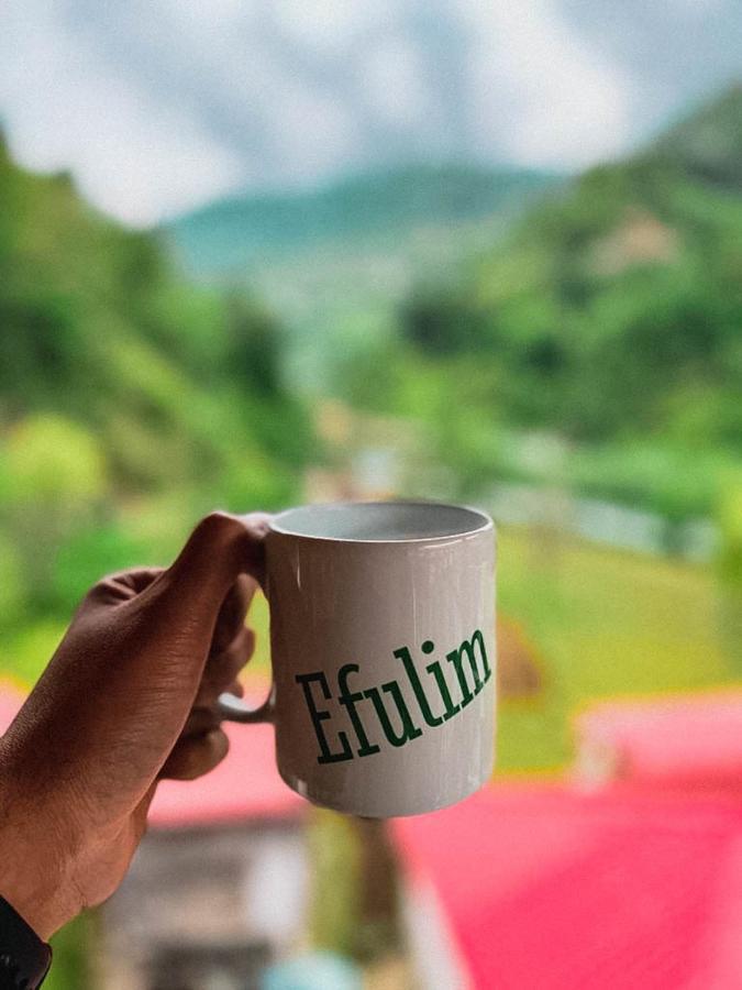 Efulim Apart Çamlıhemşin Buitenkant foto